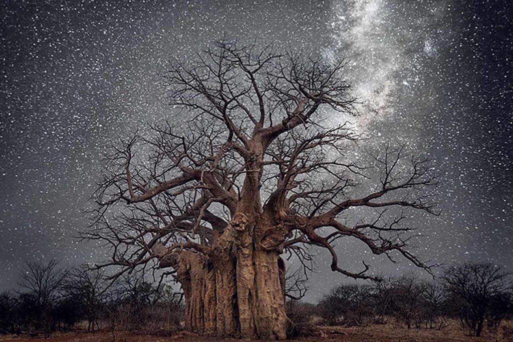 Beth Moon