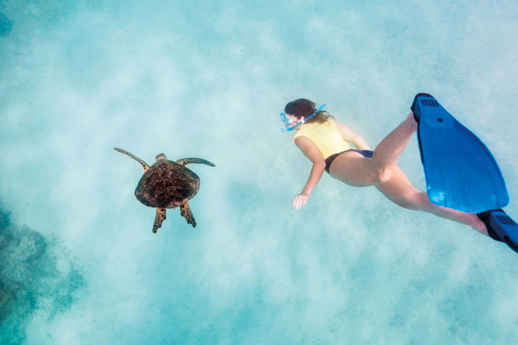 Esperienze di snorkeling